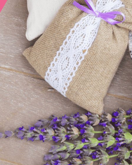 lavendar flower extract