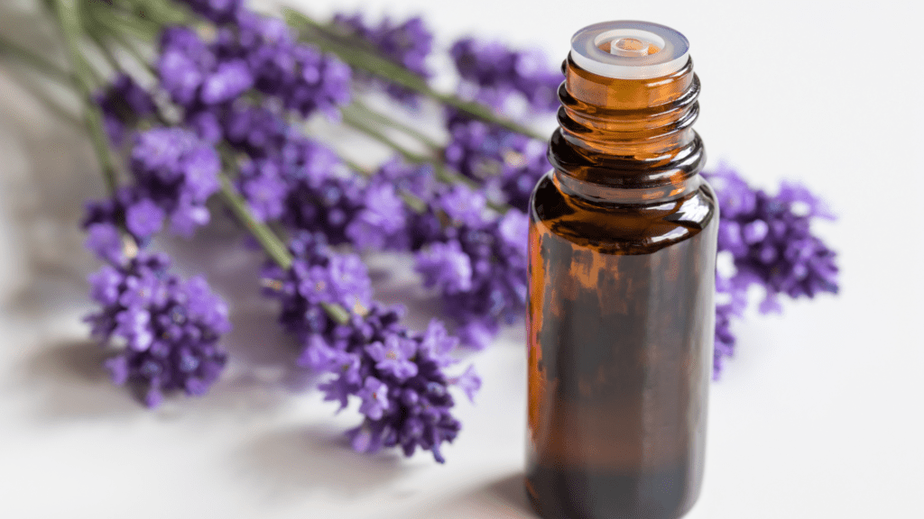 Lavender essential oil - detox your body
