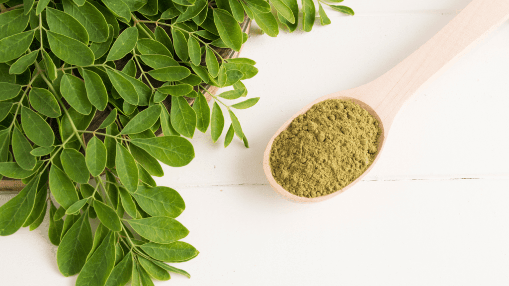 moringa leaves - ayurvedic herbs for dry skin