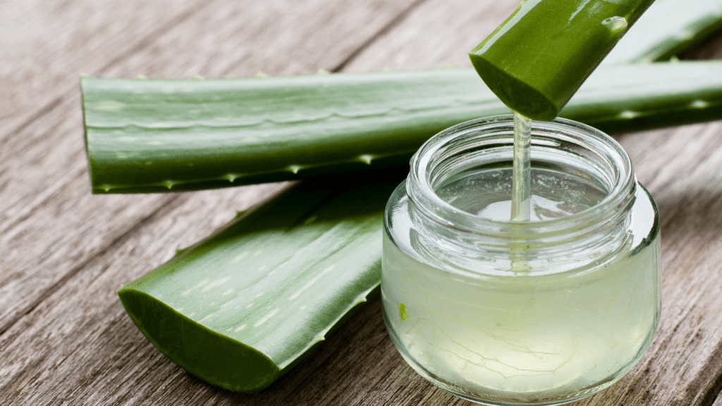 Aloe vera - ayurvedic herbs for dry skin
